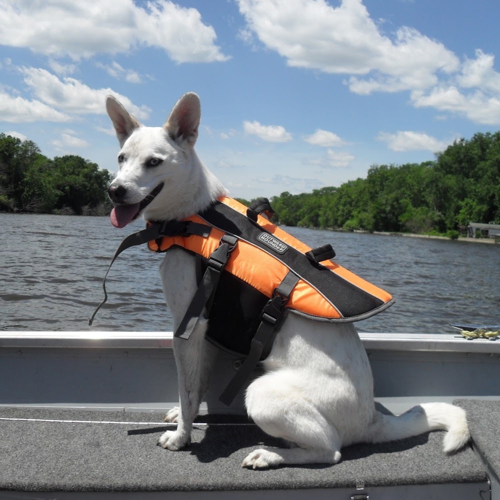 Meet your Posher, Tina